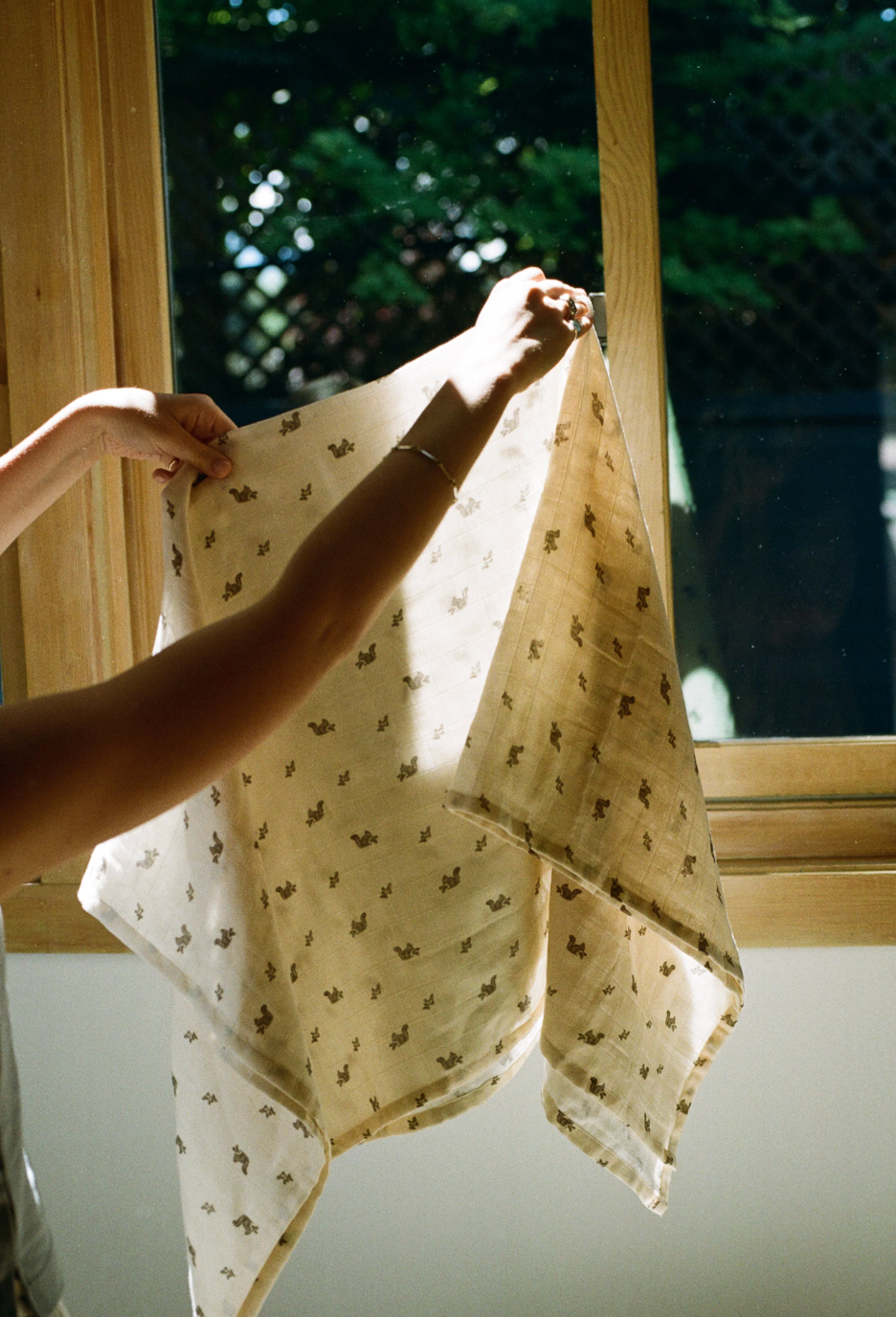 "Mushrooms & Squirrels" Muslin Swaddles