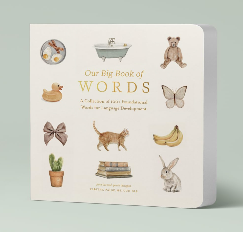 Our Big Book Of First Words