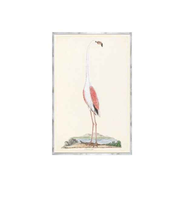 Gordons Flamingo Artwork