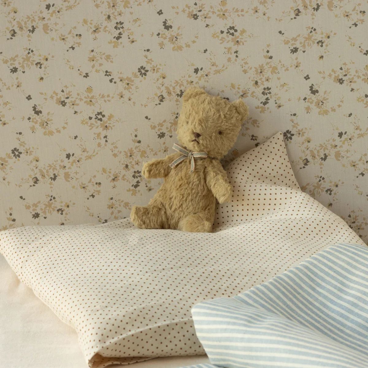 My First Teddy