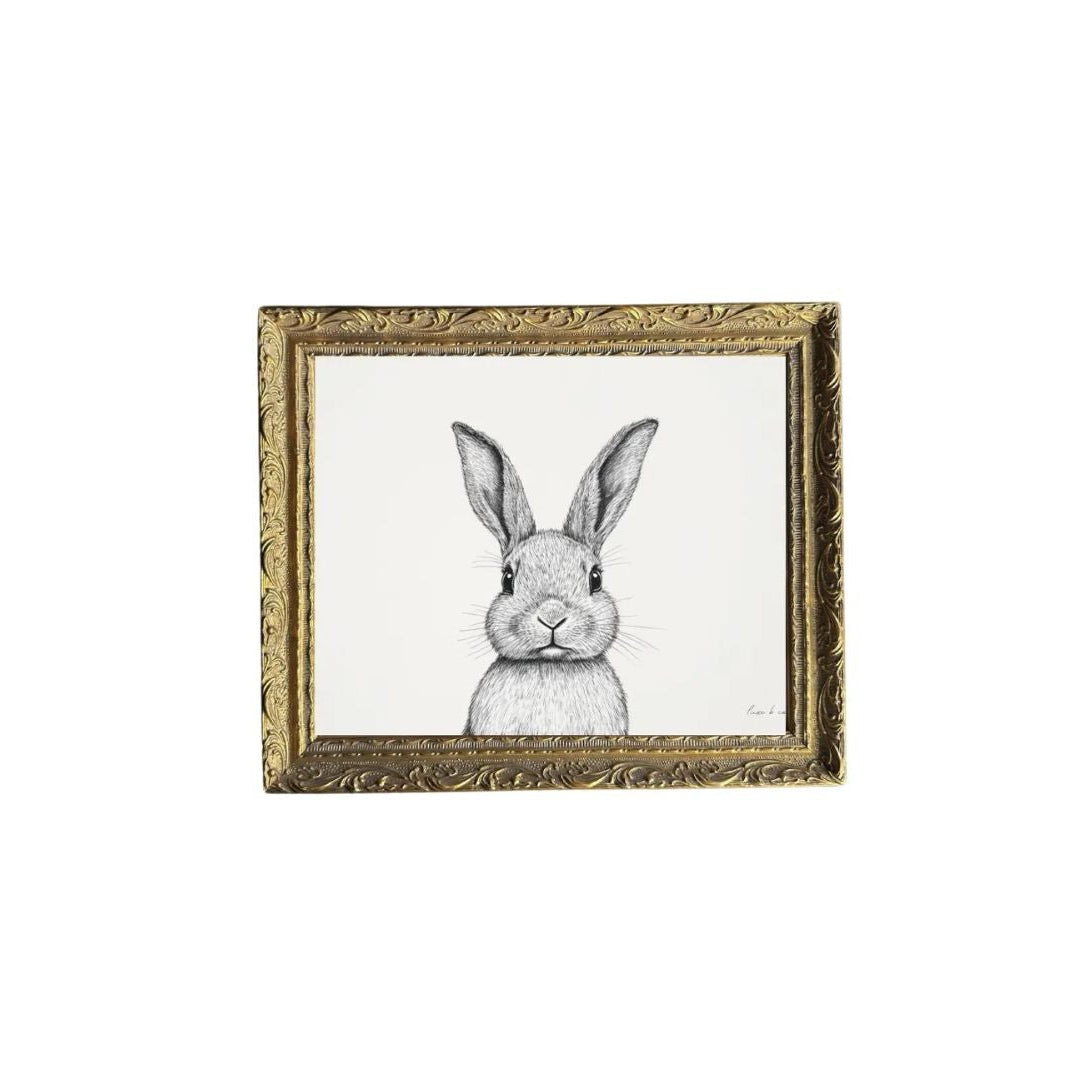 Rabbit Sketch Artwork
