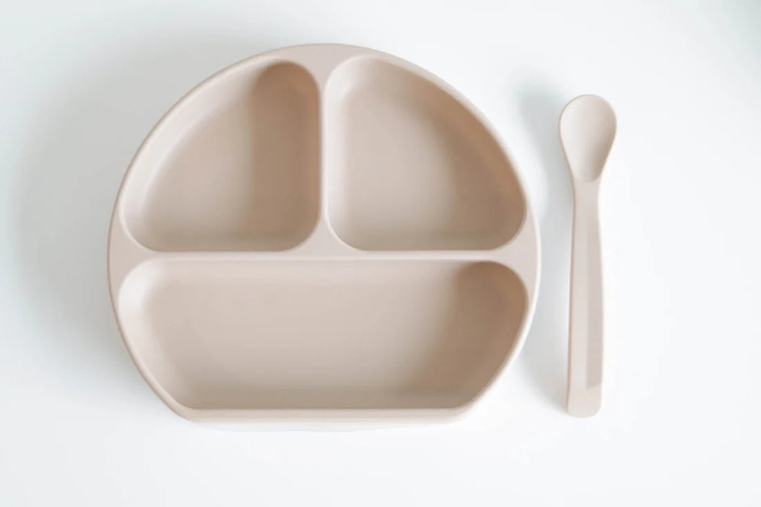 Silicone Plate, Lid & Spoon Set
