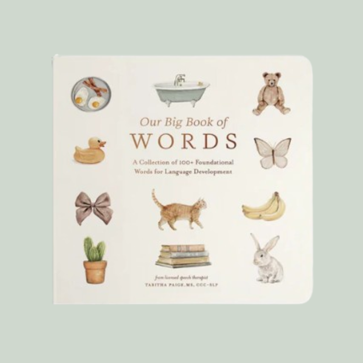 Our Big Book Of First Words