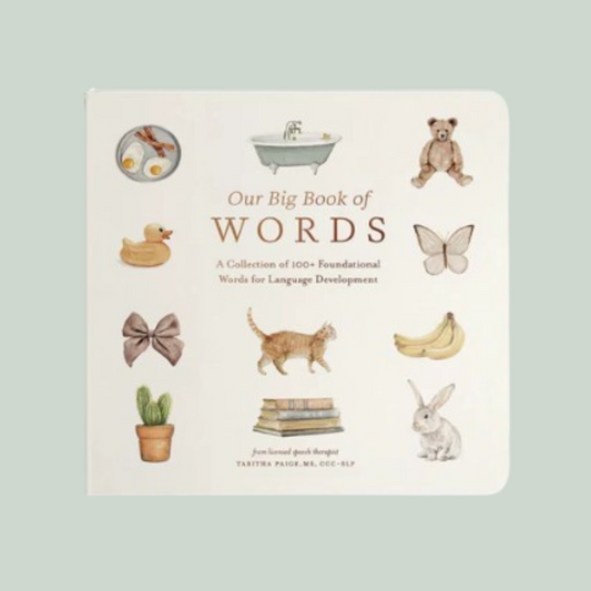 Our Big Book Of First Words