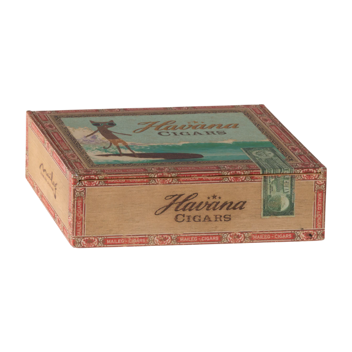 Mum & Dad Mouse in Cigar Box