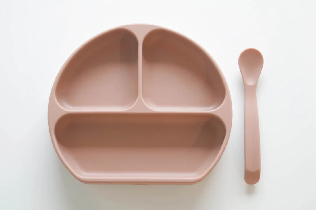 Silicone Plate, Lid & Spoon Set
