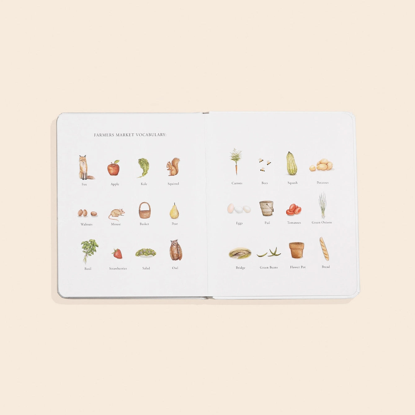 Our  Little Adventure to the Farmers Market Book