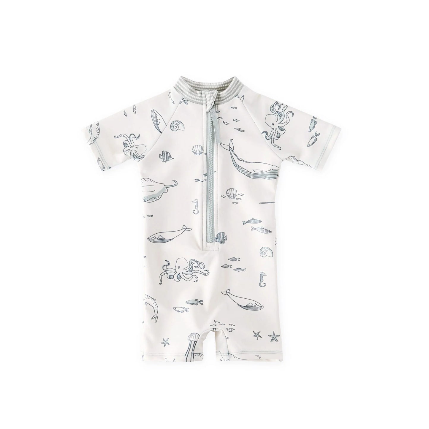 One Piece Swimsuit | Aquatic Life