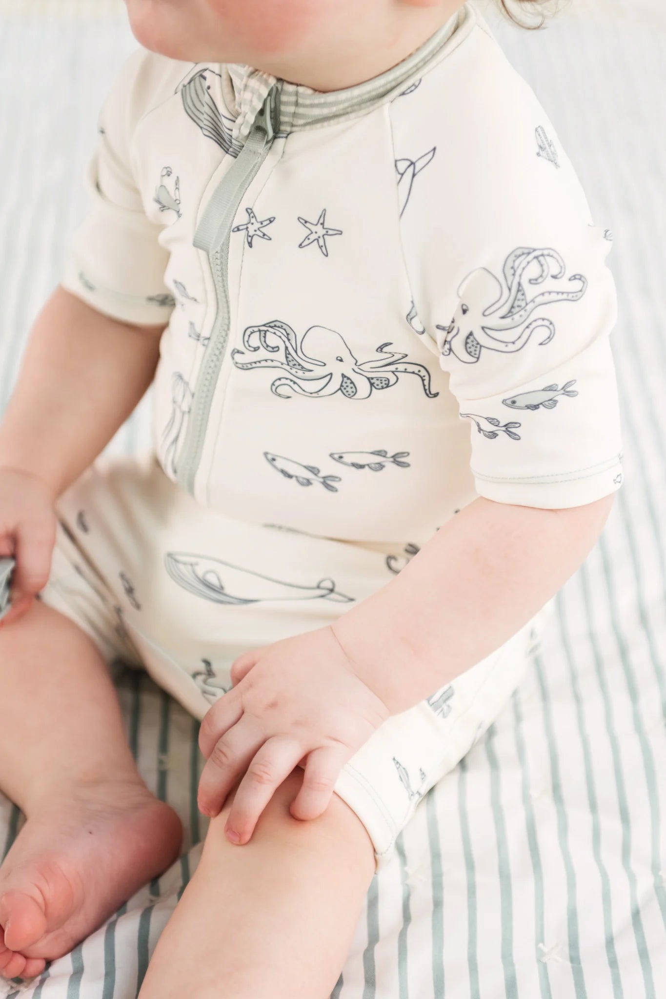 One Piece Swimsuit | Aquatic Life