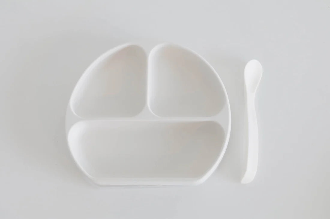 Silicone Plate, Lid & Spoon Set