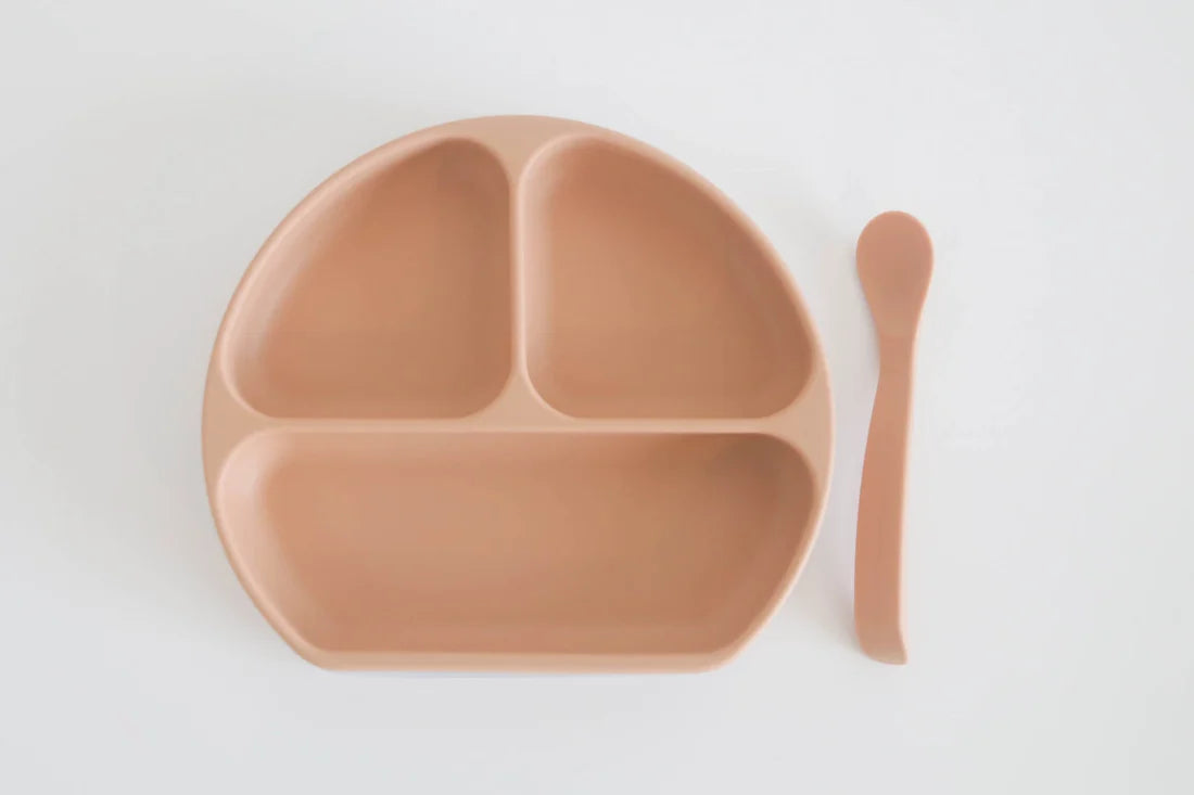 Silicone Plate, Lid & Spoon Set