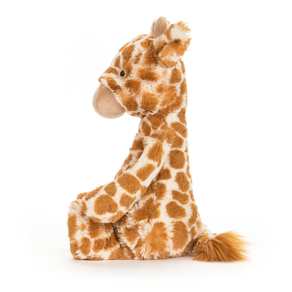 Bashful Girraffe