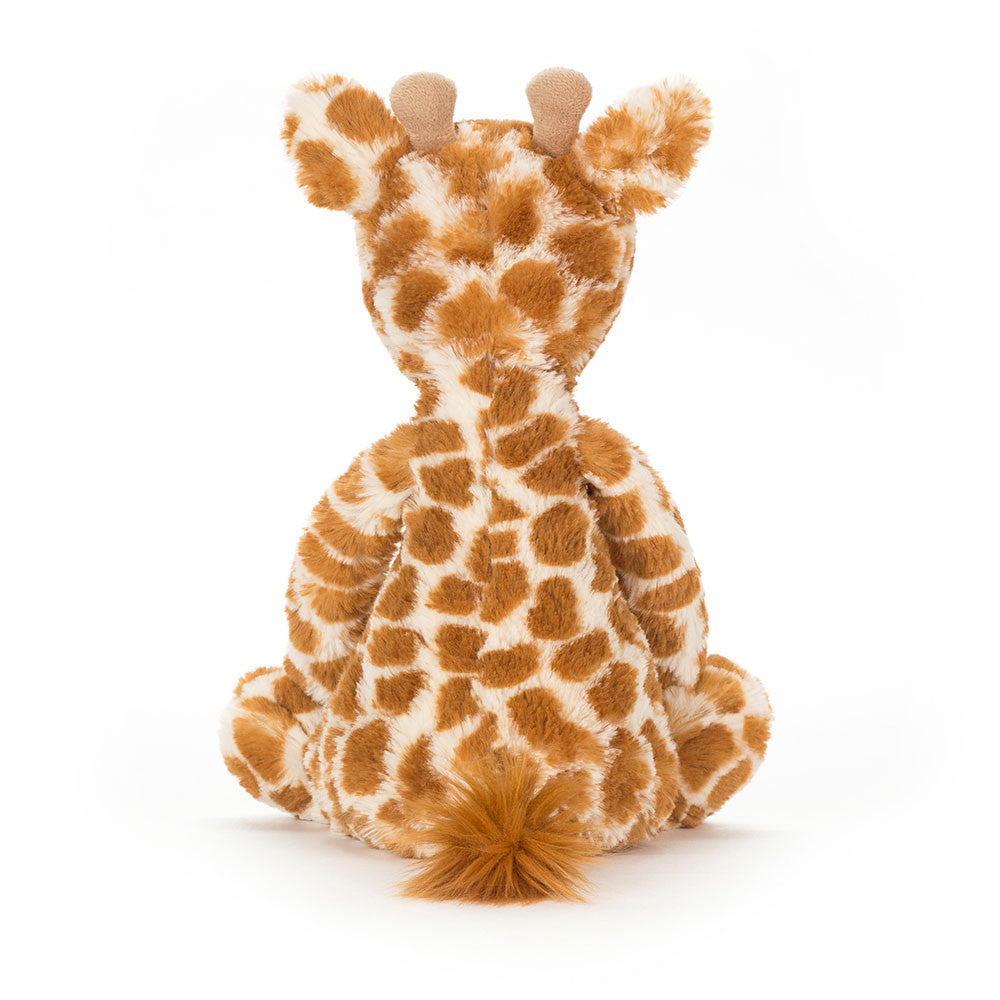 Bashful Girraffe