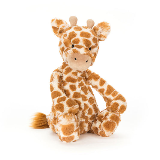 Bashful Girraffe