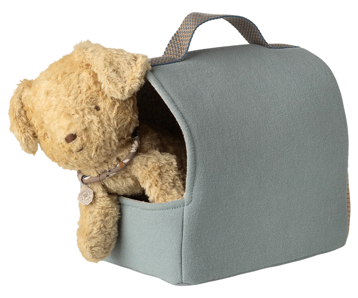 Pet Carrier