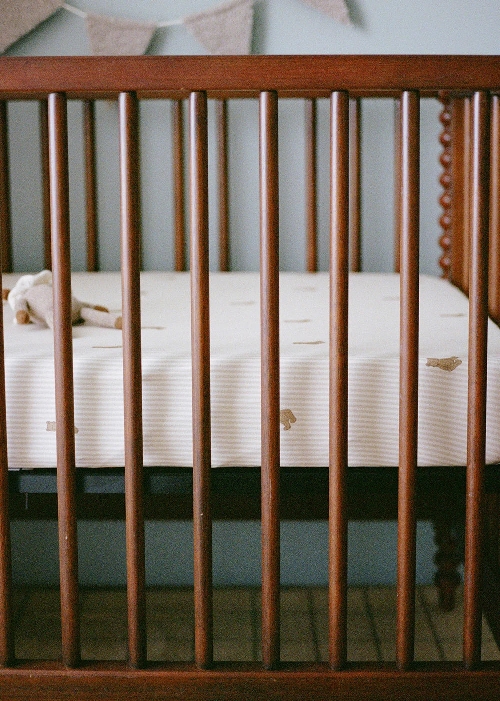 Crib Sheet | Bear