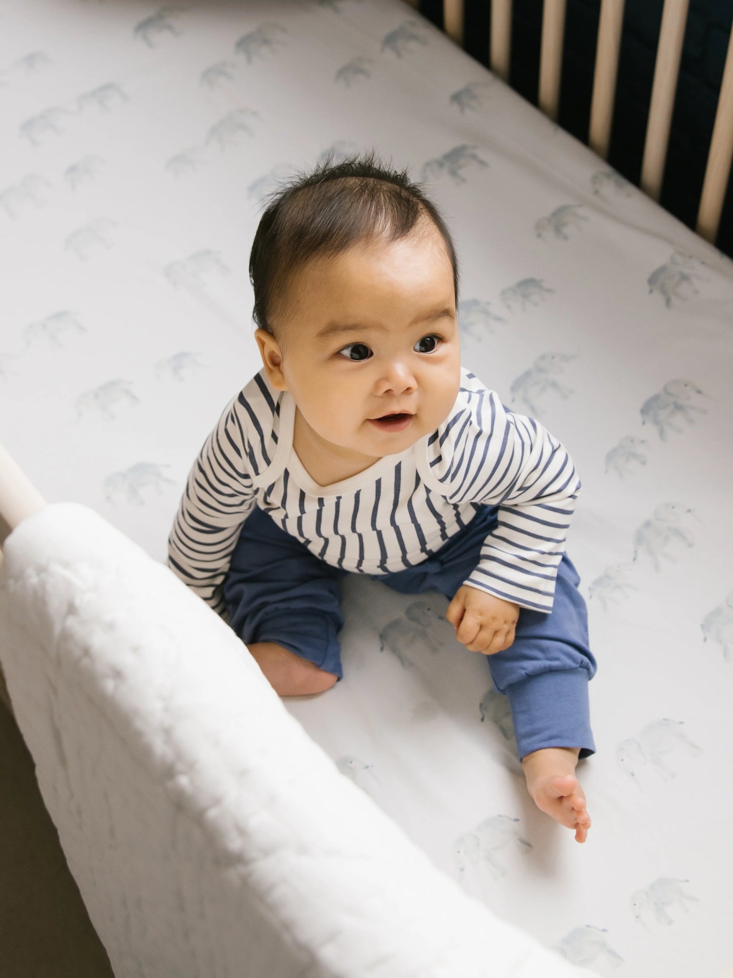 Organic Cotton Crib Sheet