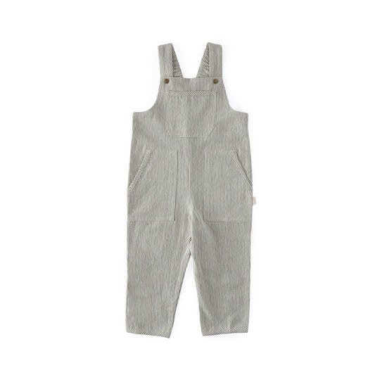 Railroad Toddler Overall | Stripe