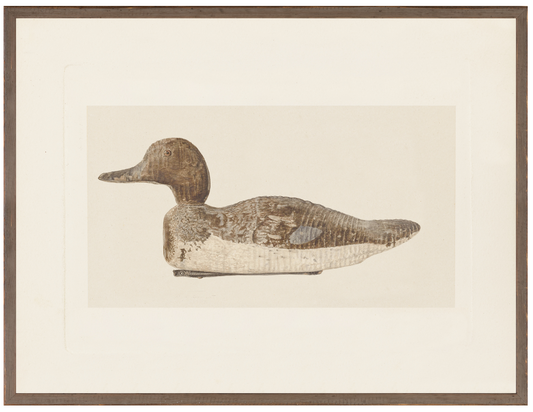 Northern Collection | Decoy Artwork