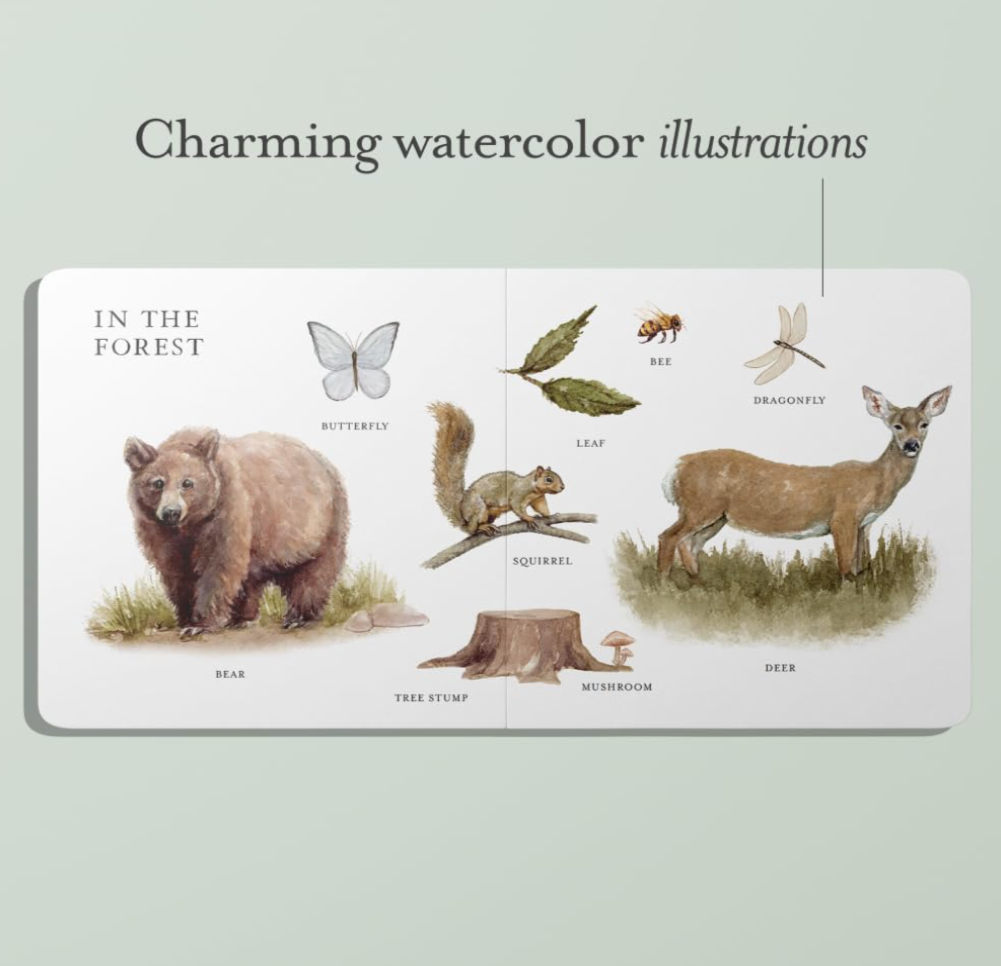 Our Big Book Of First Words