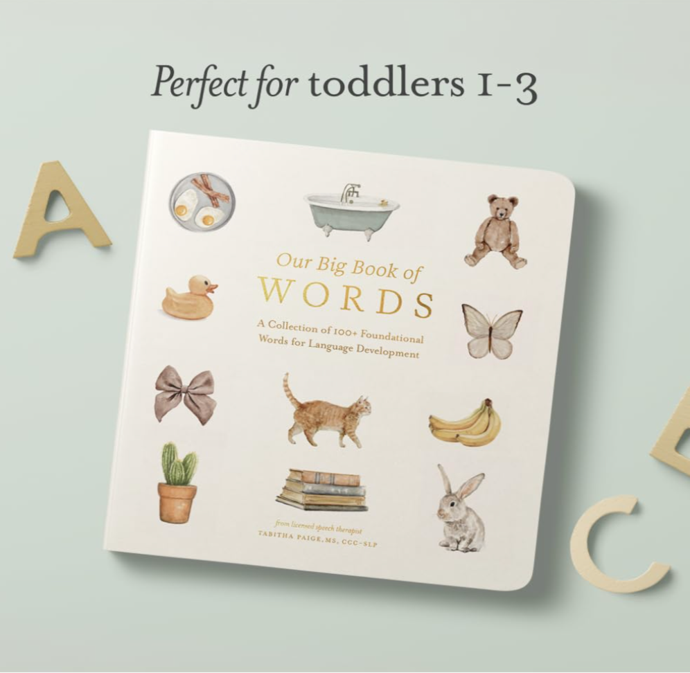 Our Big Book Of First Words