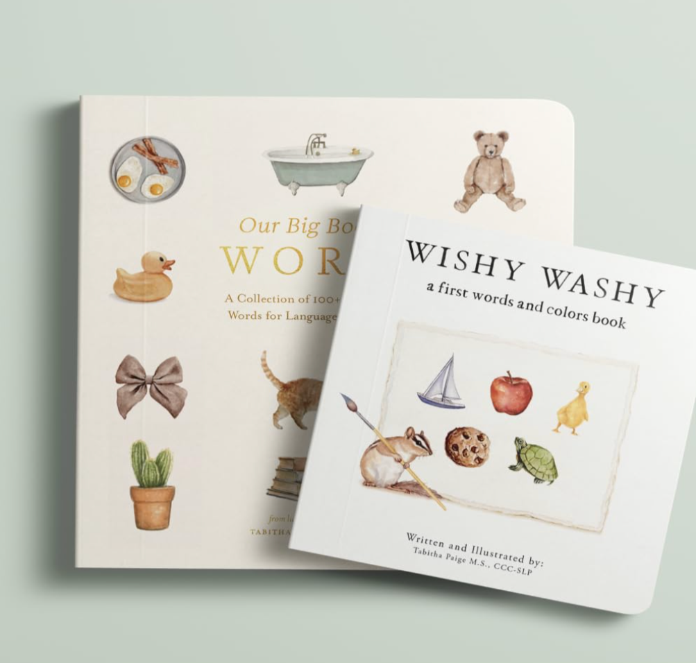 Our Big Book Of First Words