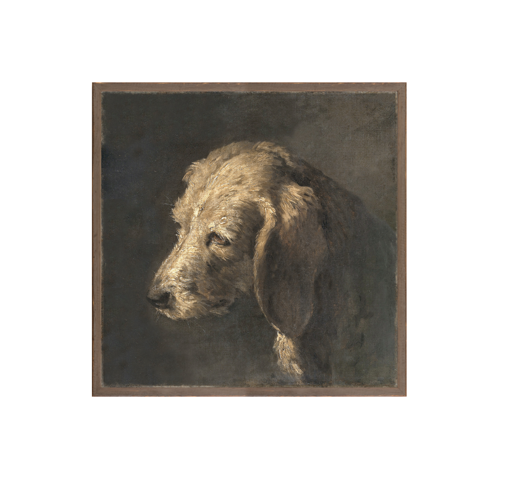 Northern Dog Portrait