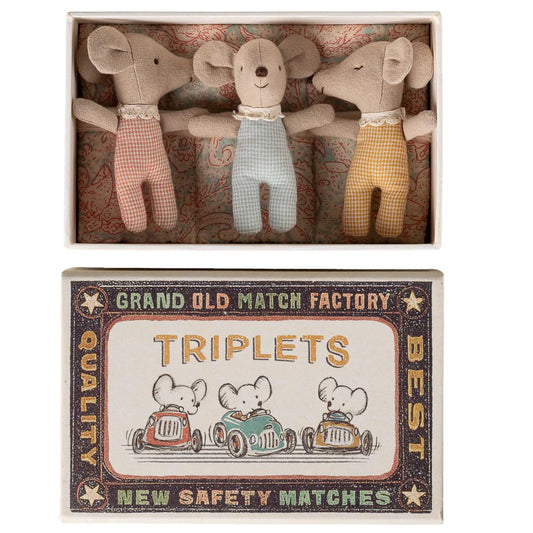 Baby Triplet Mice in Matchbox