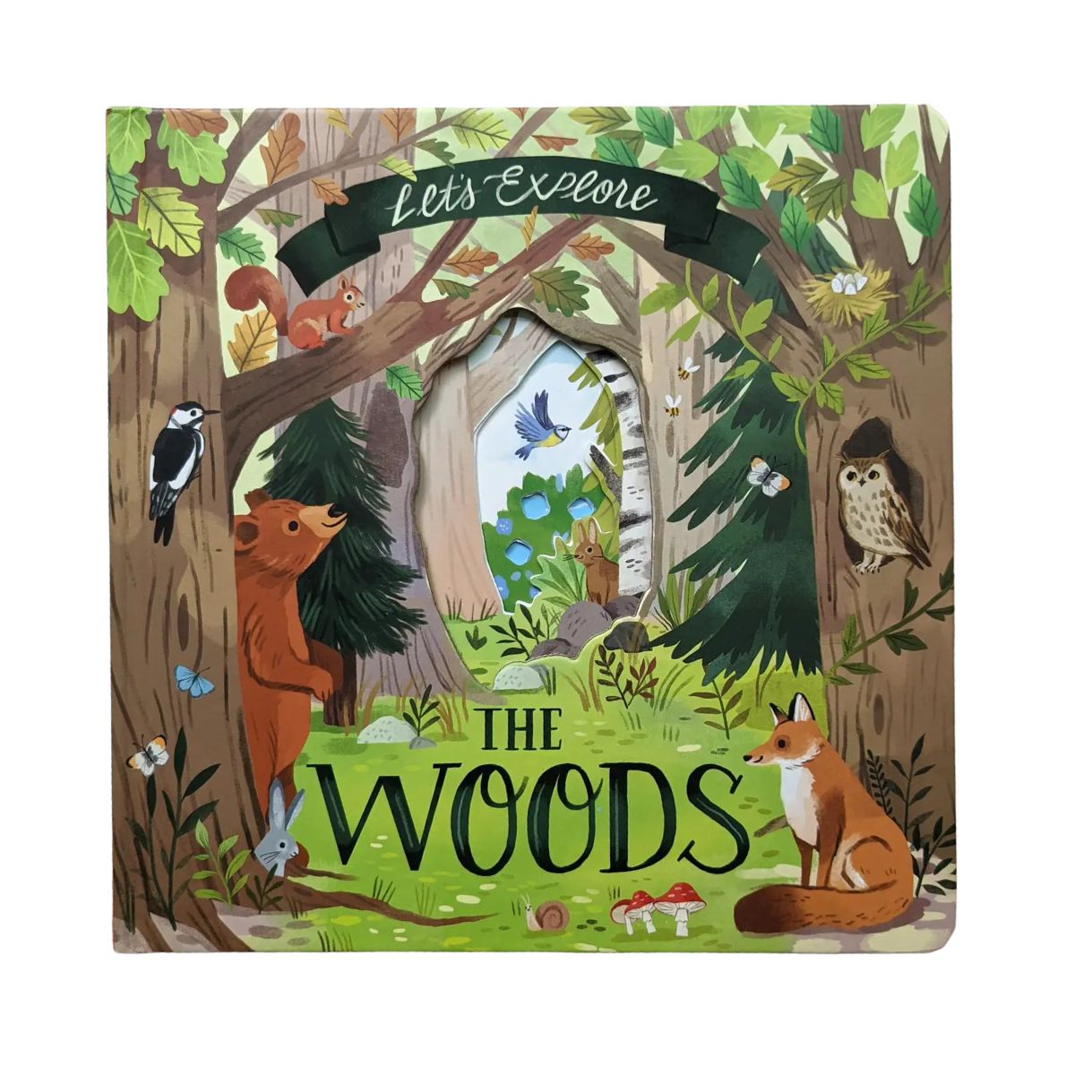 Lets Explore The Woods Book