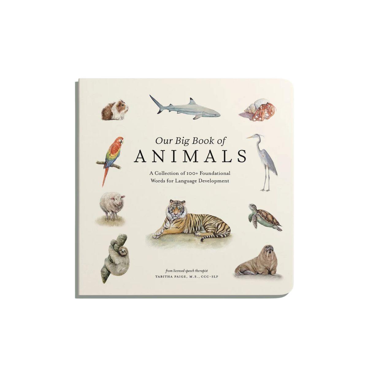 Our Big Book Of Animals
