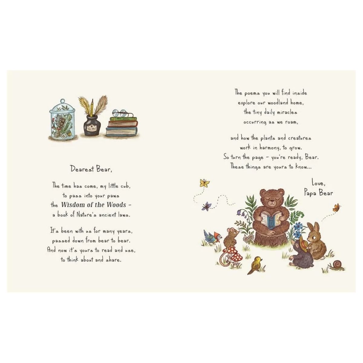 Wisdom of the Woods | Rachel Piercey