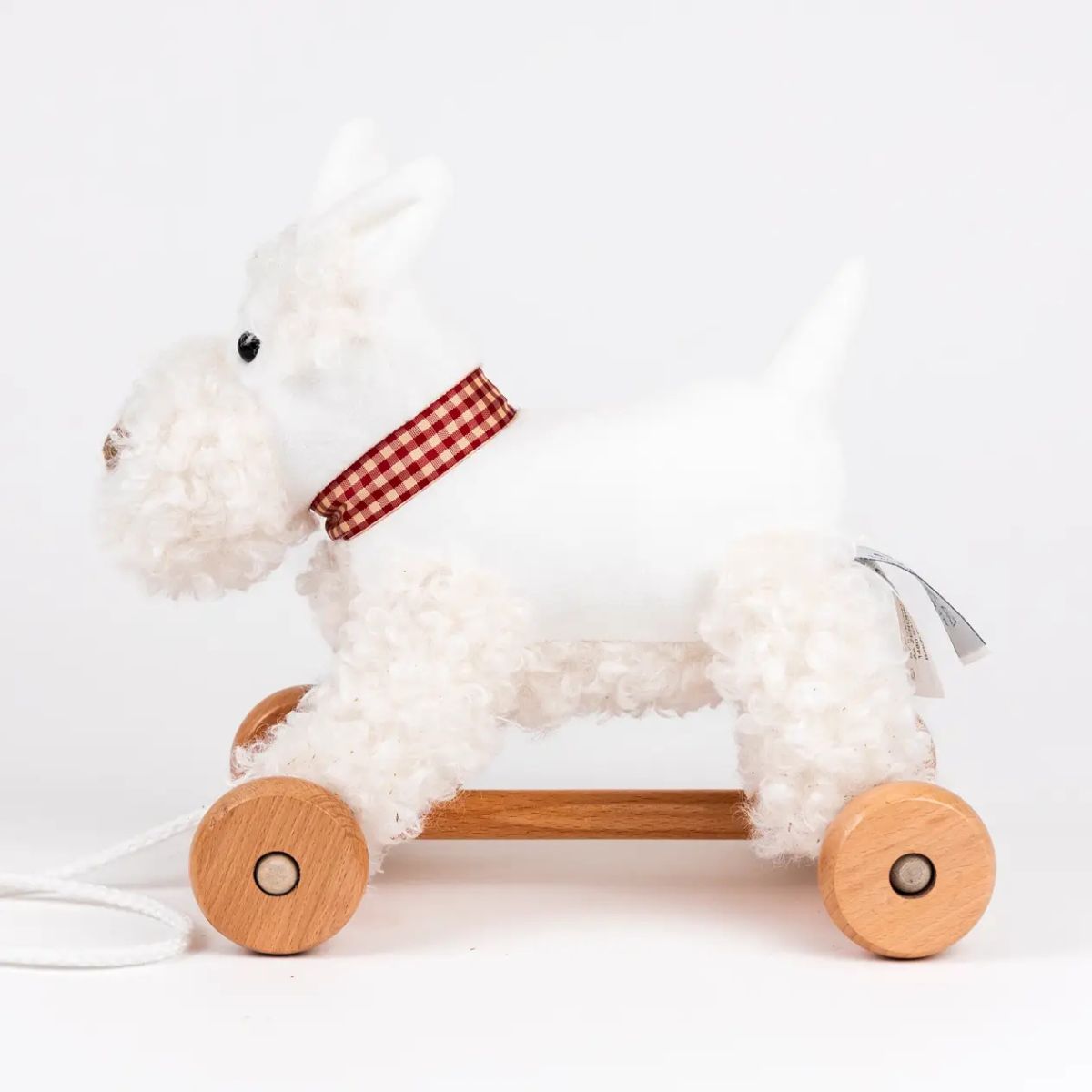 Pull-Along Puppy