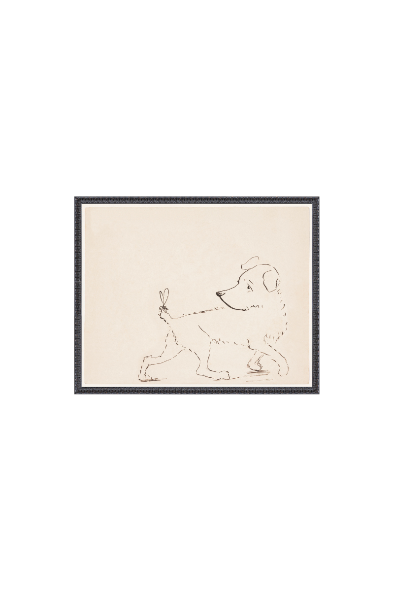 Collection 23 | Bee-Hind