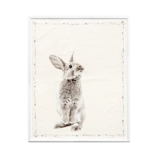 Les Petits Artwork | Bunny