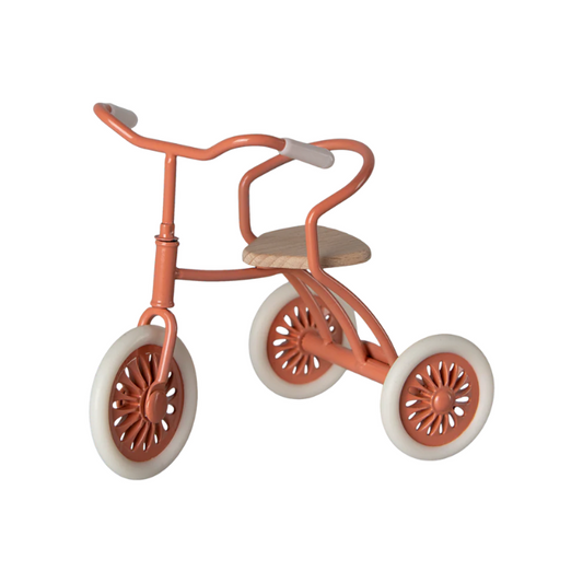 Mini Tricycle | Coral