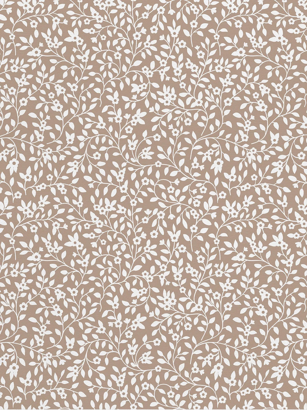 Campa Wallpaper