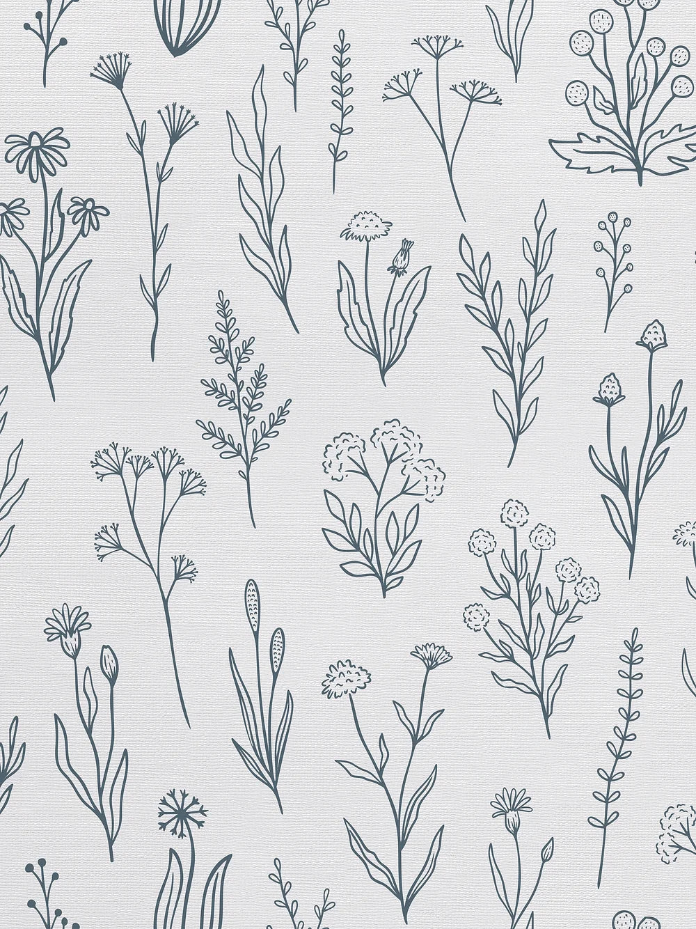 Herba Wallpaper