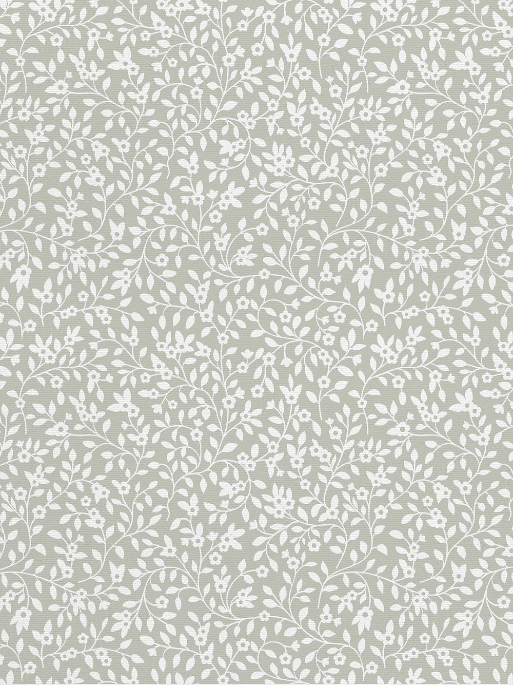 Campa Wallpaper
