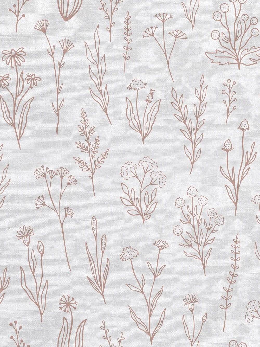 Herba Wallpaper