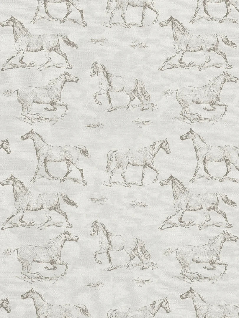 Equs Wallpaper