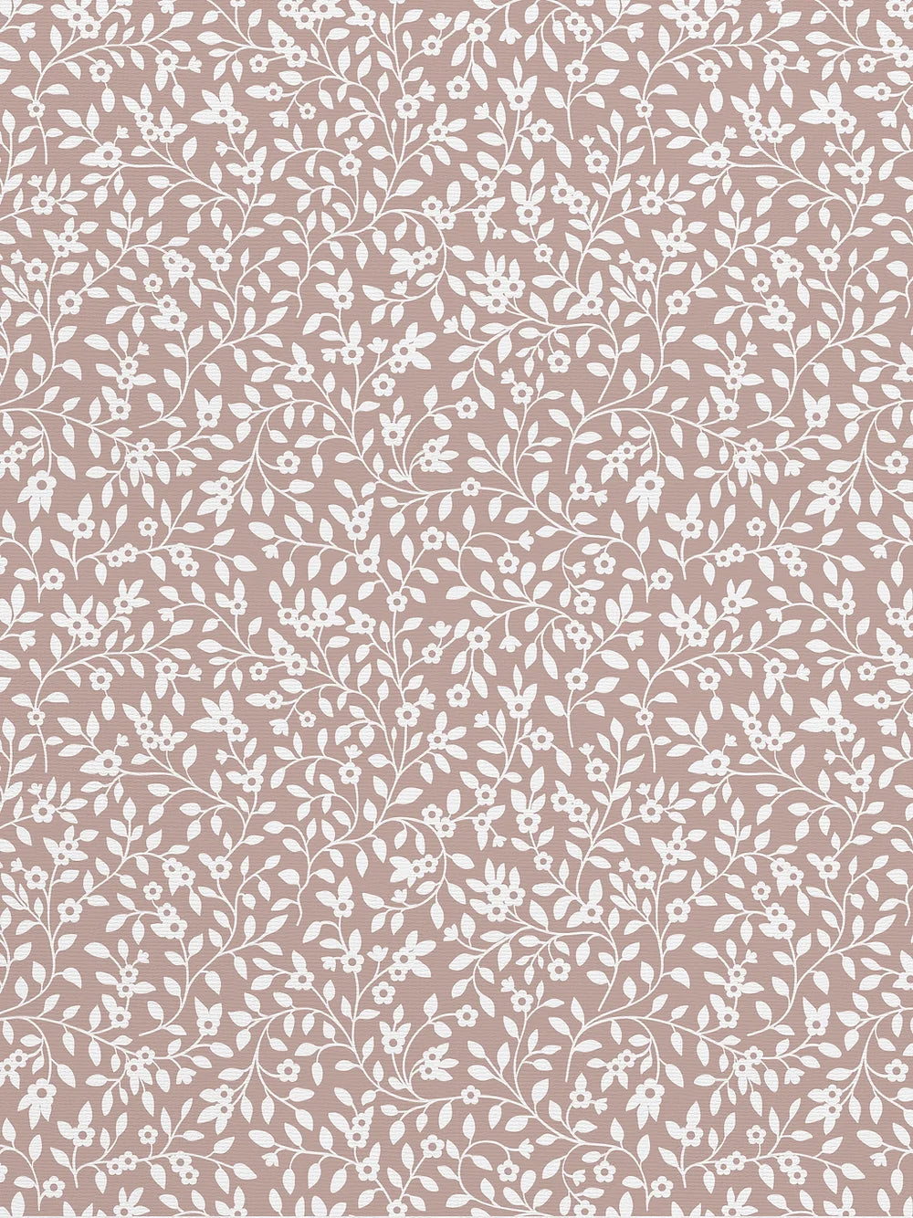 Campa Wallpaper