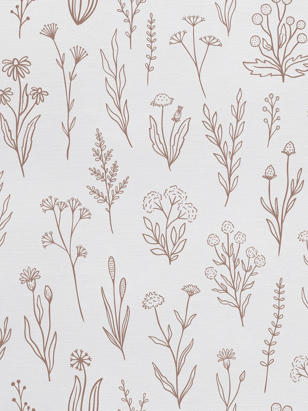 Herba Wallpaper