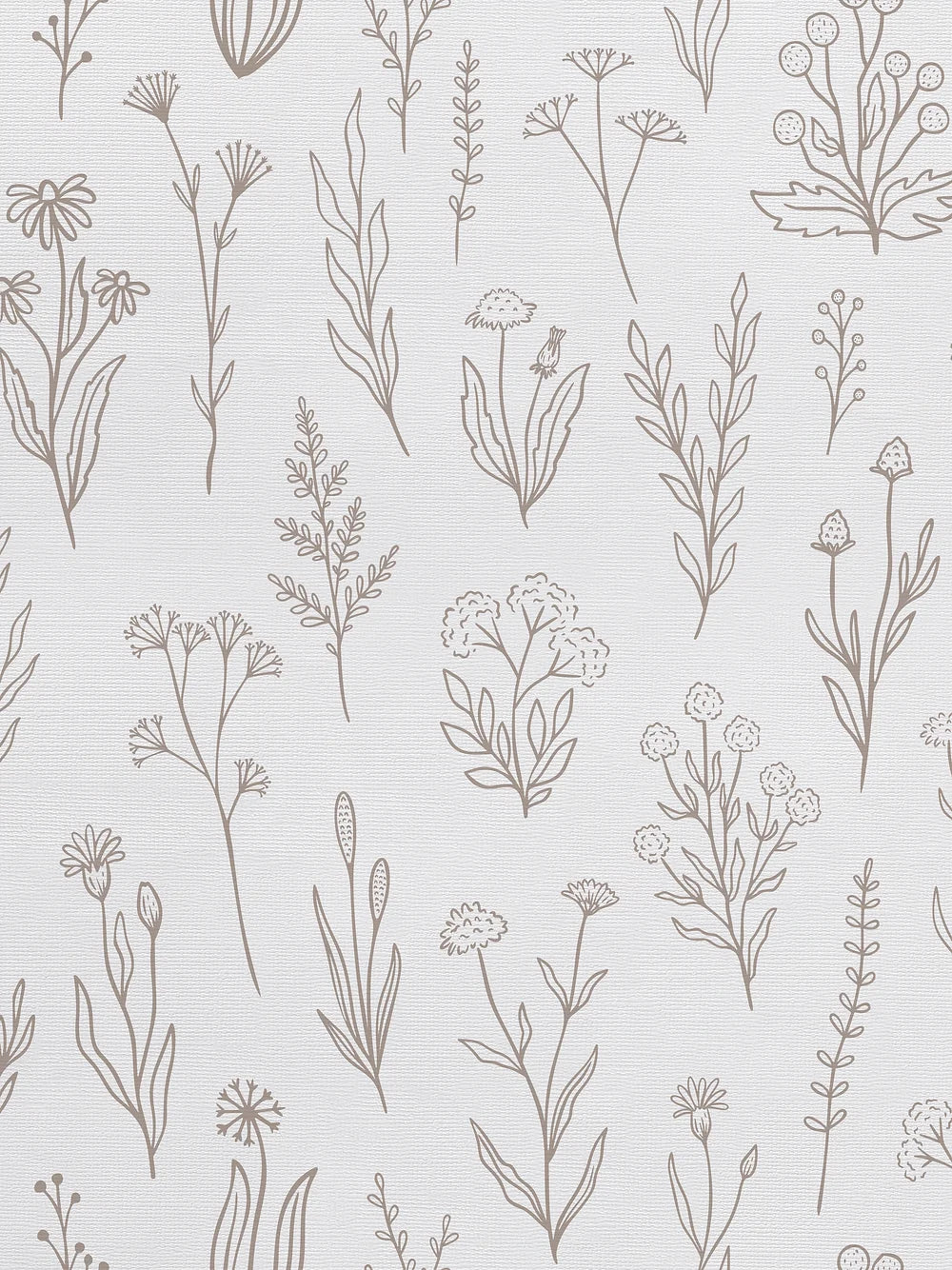 Herba Wallpaper