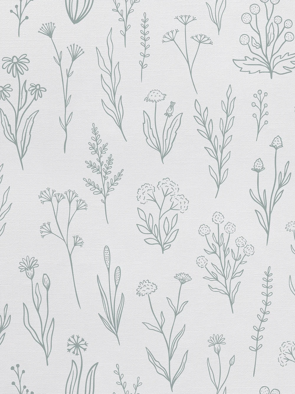 Herba Wallpaper