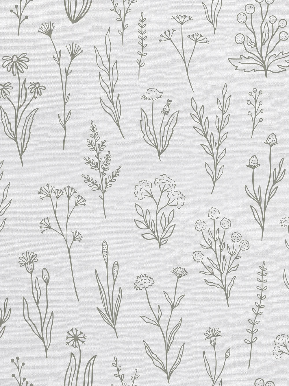 Herba Wallpaper
