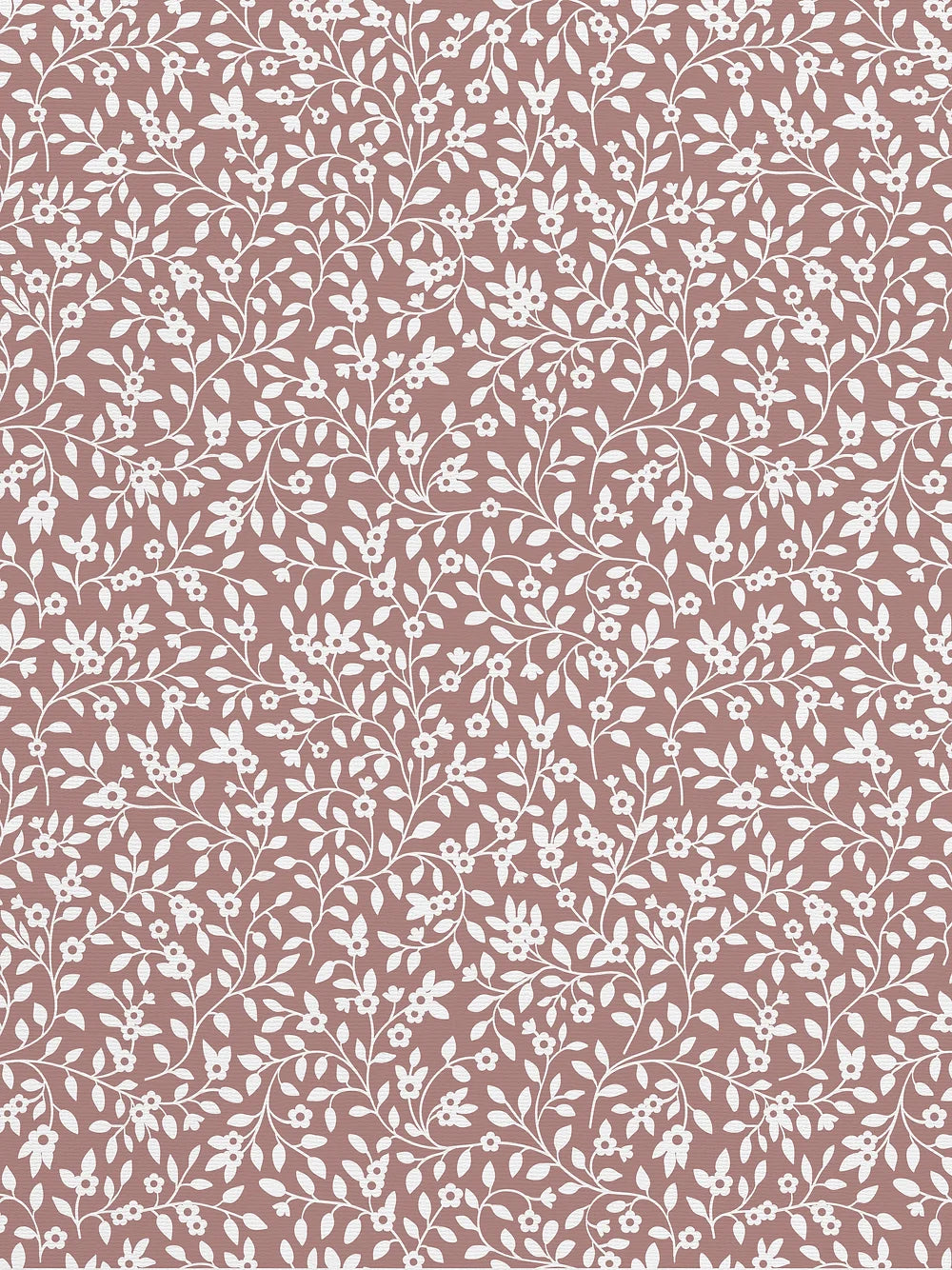 Campa Wallpaper