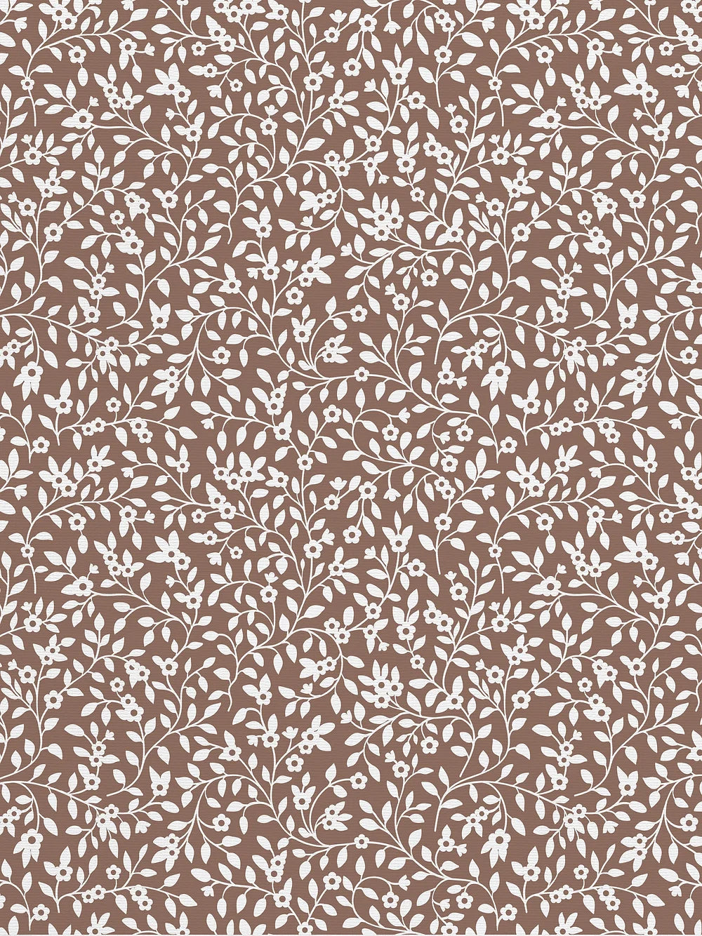 Campa Wallpaper