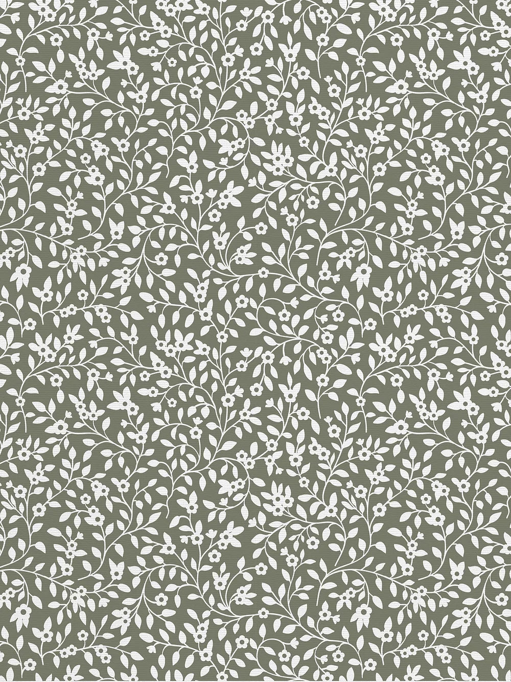 Campa Wallpaper