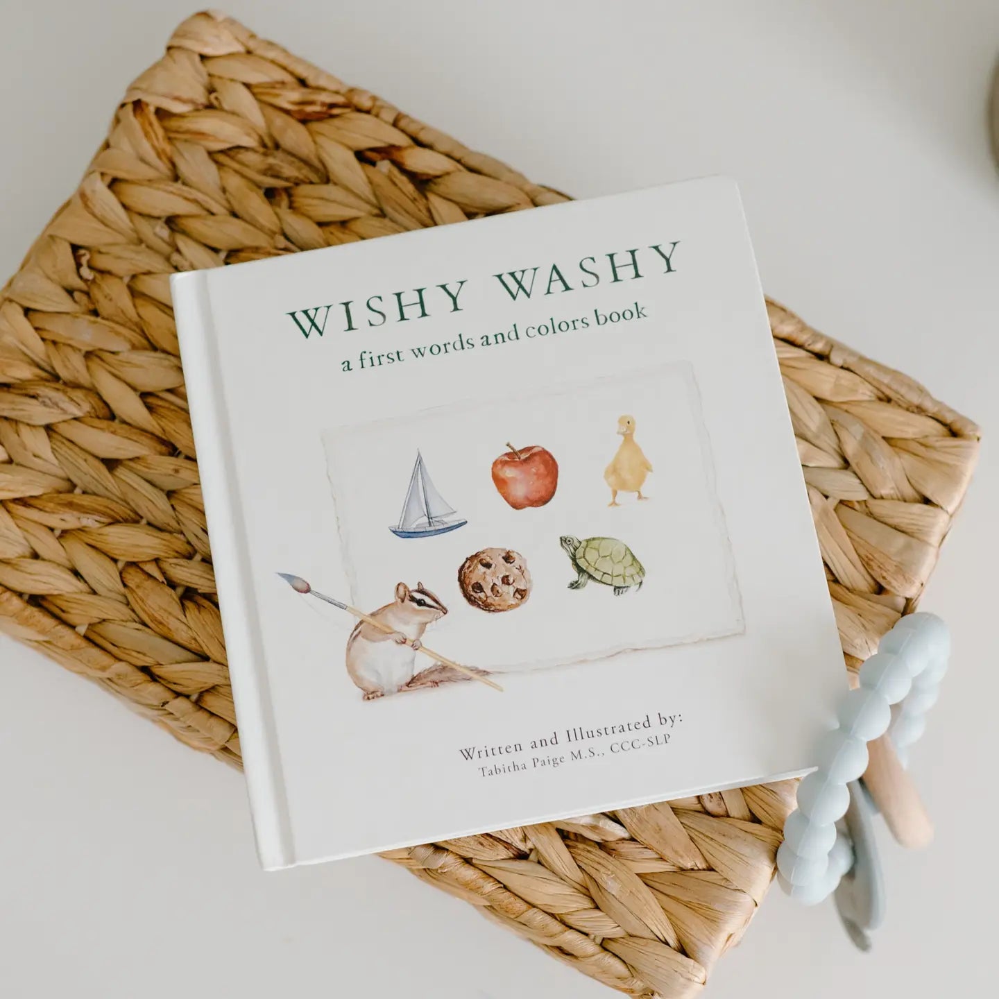 Wishy Washy - First Words and Colors Book